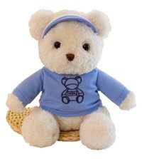 Jzcat Mavi Çocuk Sevimli Ayı Bebek 30 cm Peluş Oyuncak
