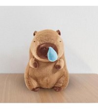 Magideal Suntek Çekilebilir Sümük Kabarcıkları Ile Capybara Peluş Oyuncak