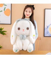 Alibee Ascii ZaoXUzun Kulaklı Yavru Köpek 35 55 cm Peluş Oyuncak