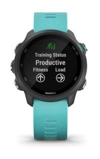 Garmin Forerunner 245 Akıllı Saat Mor