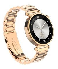 Schitec RW-43 Akıllı Saat Gold