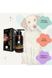 Vet's Bo Premium Norveç Somon Yağı Glucosamine Kemik Eklem Tüy Sağlığı İçin 100 ml 1 Adet Sıvı Köpek Vitamini