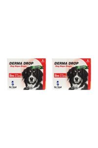 Dr. Sed Derma Drop Köpekler İçin Tüy Sağlığı İçin 15 gr 2 Kutu Sıvı Köpek Vitamini