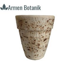 Armen Botanik Antik Görünümlü Eskitme Toprak Saksı Beyaz
