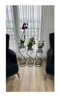 Modern Style Home Modern Style Home 3 Adet Saksılık Çiçeklik Siyah