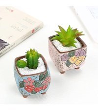 Florada Retro Sukulent Kaktüs Saksı 2 Adet
