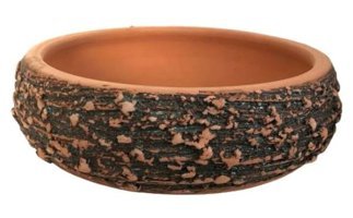Armen Botanik Antik Görünümlü El Yapımı Bonsai Saksısı