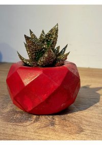 Pointflowers Prizma Sukulent Saksı Kaktüs Mumluk Saksı Kırmızı
