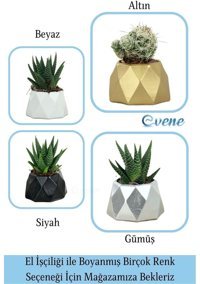 Evene Mini Sukulent Kaktüs Poly Model Saksı Altın