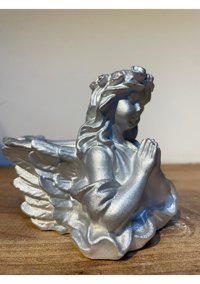 Pointflowers Silver Melek2 Sukulent Kaktüs Mumluk Saksı