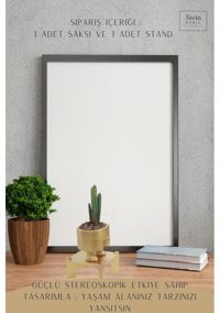 Evene Ayaklı Ahşap Dekoratif Kaktüs Pantolon Model Saksı Altın
