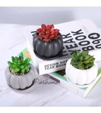 Florada El Yapımı 3 Adet Kabak Tasarımlı Mini Dekoratif Saksı