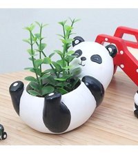 Florada Sevimli Panda Figürlü Sukulent Saksı