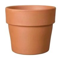 Greenmall Vaso Perfetto Cotto Saksı