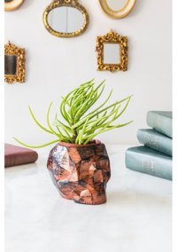 ArmaHouse Beton Kuru Kafa Motifli Sukulent Saksı