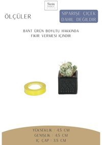 Evene Dekoratif Minik Kaktüs Kare Model Saksı Siyah