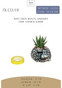 Evene Dekoratif Minik Kaktüs Koyun Model Saksı Gümüş Eskitme