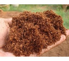 Fidansepetim Sıkıştırılmış Torf Cocopeat 70 lt Saksı