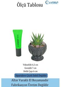 Evene Mini Sukulent Kaktüs Antika Vazo Model Saksı Siyah