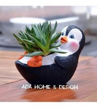 Florada Sukulent Minnoş Penguen Saksı