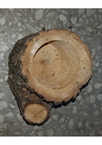 Ithal Ahşap Kaktüs Sukkulent Arajman Kaktüs Sukulent Kütük Tekli Saksı