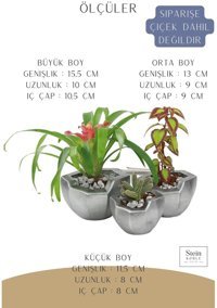 Evene Büyük Boy 3 Adet Önü Açık Model Saksı Gümüş Eskitme