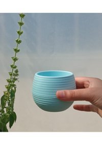 Asenya 4 Adet 0,55 lt Sukulent Saksısı Açık Mavi