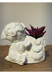 Pointflowers Köpek Saksı Beyaz