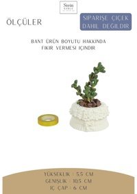 Evene Dekoratif Minik Kaktüs Çiçekli Fiyonklu Model Saksı Beyaz