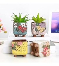 Florada Retro Sukulent Kaktüs Saksı 4 Adet