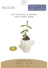 Evene Dekoratif Minik Kaktüs Kaktüs Model Saksı Beyaz