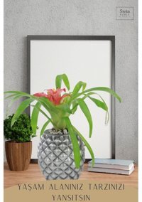 Evene Büyük Boy 2 Adet Ananas Model Saksı Gümüş Eskitme
