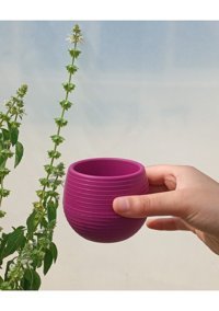 Asenya Kaktüs - Sukulent 0.55 lt 5 Adet Saksı Vişne Renk