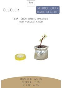 Evene Dekoratif Minik Kaktüs Saksısı Gümüş