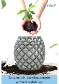 Evene Ahşap Ayaklı Beton Büyük Boy Set 2 Adet Ananas Model Saksı Gümüş Eskitme