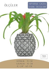 Evene Büyük Boy Ananas Model Saksı Gümüş Eskitme