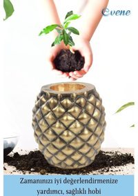 Evene Ahşap Ayaklı Beton Büyük Boy Set 2 Adet Ananas Model Saksı Altın Eskitme