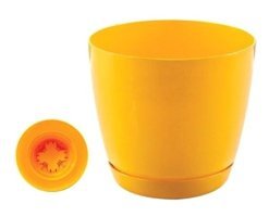 Hiper Floris Tabaklı Saksı 3 lt