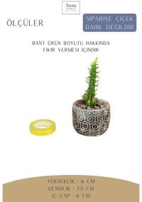 Evene Dekoratif Minik Kaktüs Altıgen Model Saksı Gümüş Eskitme