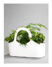 Greenmall TBasket Smart Özel Tasarım Saksı Beyaz Saksı