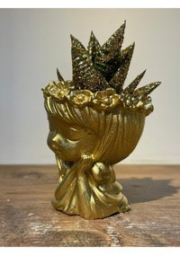 Pointflowers Altın Çiçek Kız Sukulent Kaktüs Mumluk Saksı