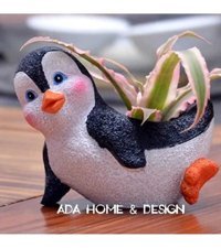 Florada Sukulent 2 Adet Minnoş Penguen Saksı Çok Renkli