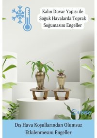 Evene Ahşap Ayaklı Beton 2 Adet Büyük Boy Set Havuç Model Saksı Altın Eskitme