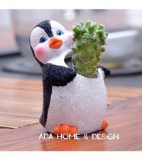 Florada Sukulent Kaktüs Minnoş Penguen 2 Adet Saksı
