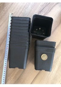 Emin Kaktüs Emin Kaktüs 10 Adet 9 Luk Kare Saksı