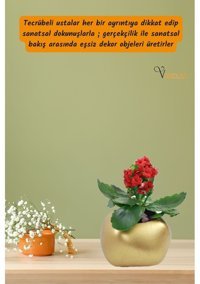Evene Dekoratif Küçük Spiral Model Saksı Altın