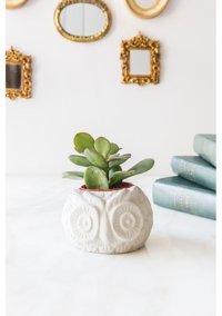 ArmaHouse Beton Baykuş Motifli Sukulent Saksı