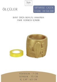Evene Dekoratif Minik Kaktüs Model Saksı Altın