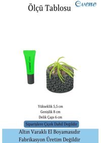 Evene Mini Çiçek Sukulent Kaktüs Puantiyeli Model Saksı Siyah