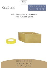 Evene Dekoratif Minik Kaktüs Dörtgen Model Saksı Altın